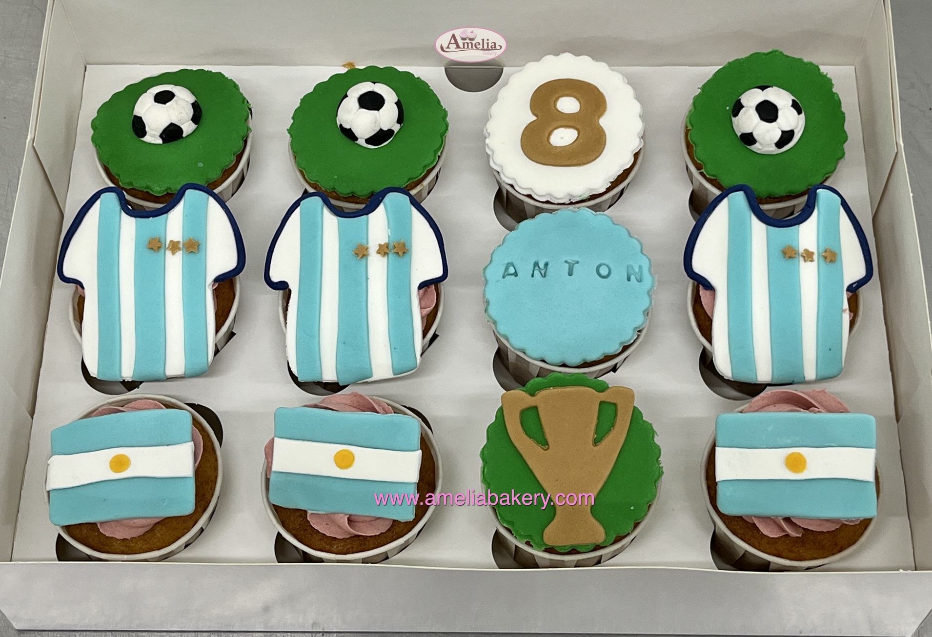 Cupcakes-fondant-argentina-bandera-camiseta-balones